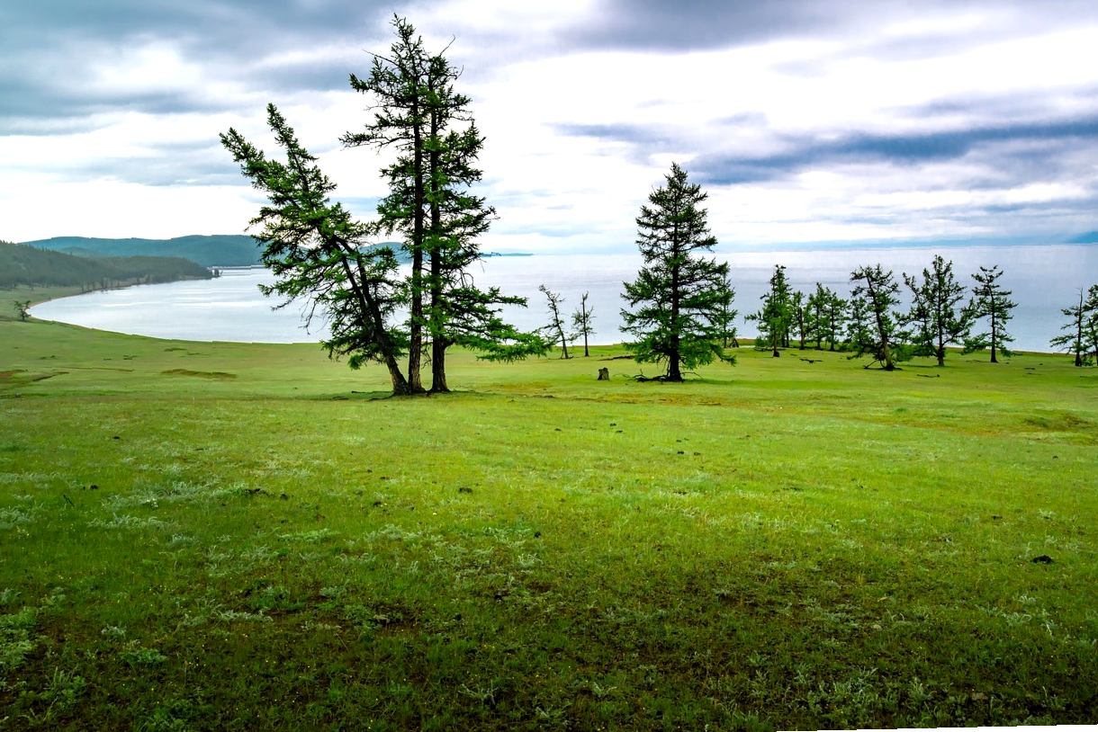 济宁金佰特厨业 高端 国产免费观看高清电视剧1百度云 热销推荐 自动清洗消毒柜与餐车组合 3